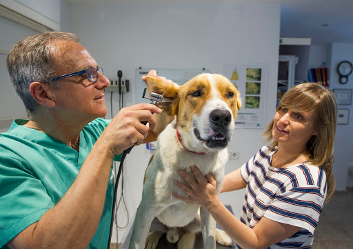 Clínica Veterinaria Dr. Palmer en Costa d'en Blanes