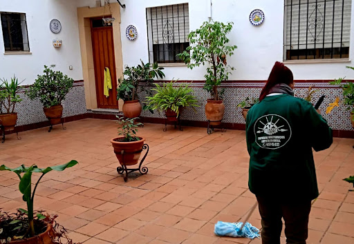 Brillocor en Córdoba, Córdoba
