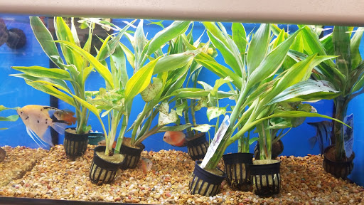 Pet Supply Store «Petco Animal Supplies», reviews and photos, 1111 US-46, Parsippany, NJ 07054, USA