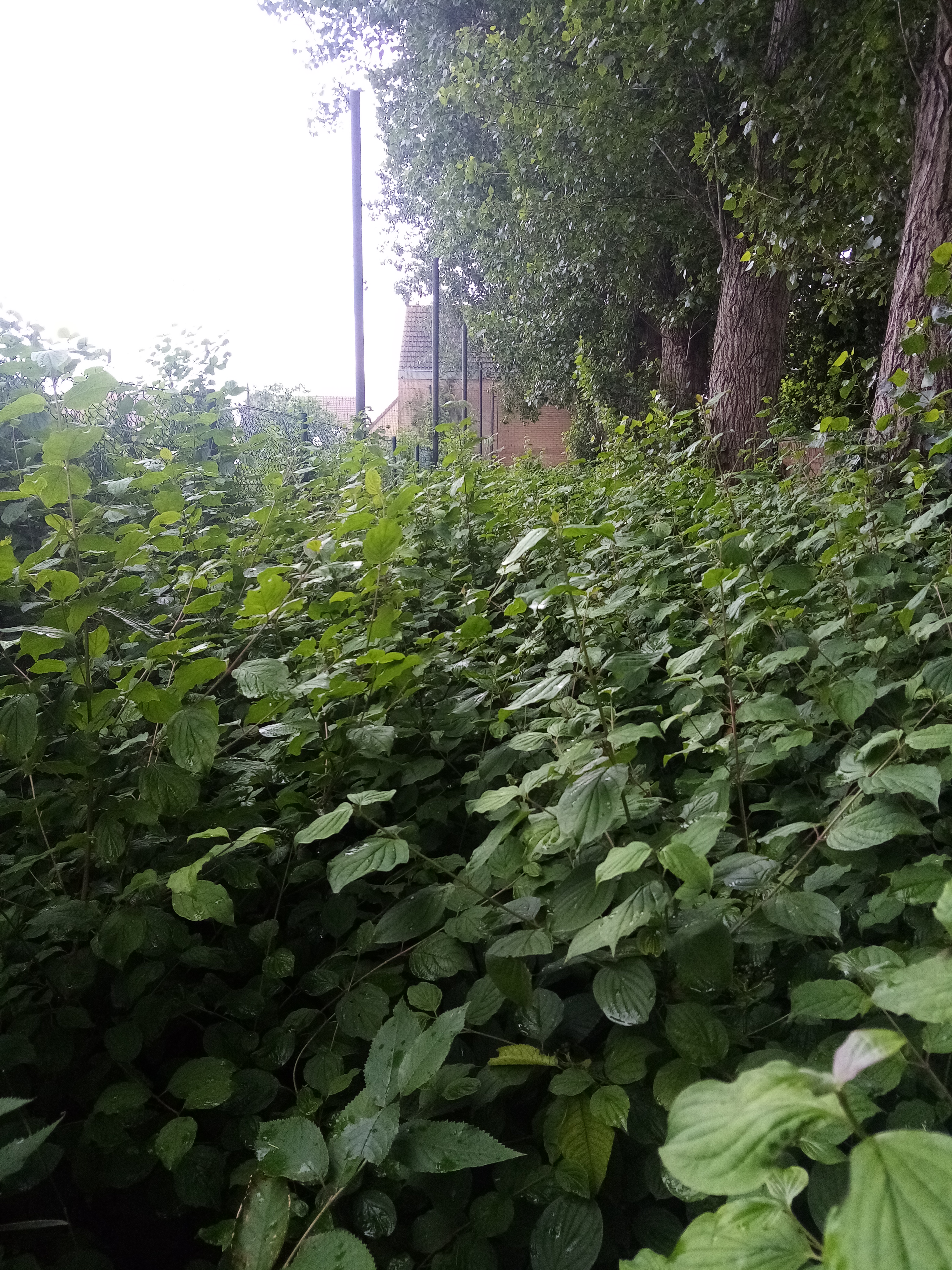 Photo n° 13 de l'avis de gerard.e fait le 09/01/2023 à 15:18