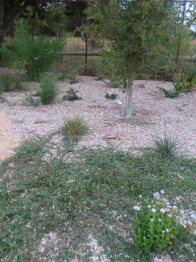 Park «Phil Hardberger Park», reviews and photos, 13203 Blanco Rd, San Antonio, TX 78216, USA