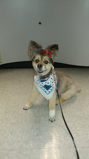 Pet Supply Store «Petco Animal Supplies», reviews and photos, 4139 US Hwy 98 N, Lakeland, FL 33809, USA