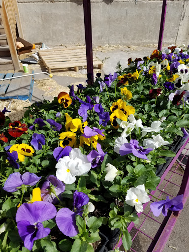 Produce Market «Kuwahara Farms», reviews and photos, 736 12300 S, Draper, UT 84020, USA