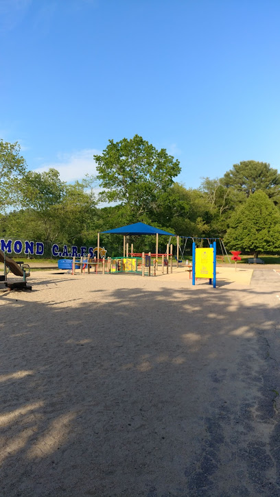 Richmond Elementary Playground