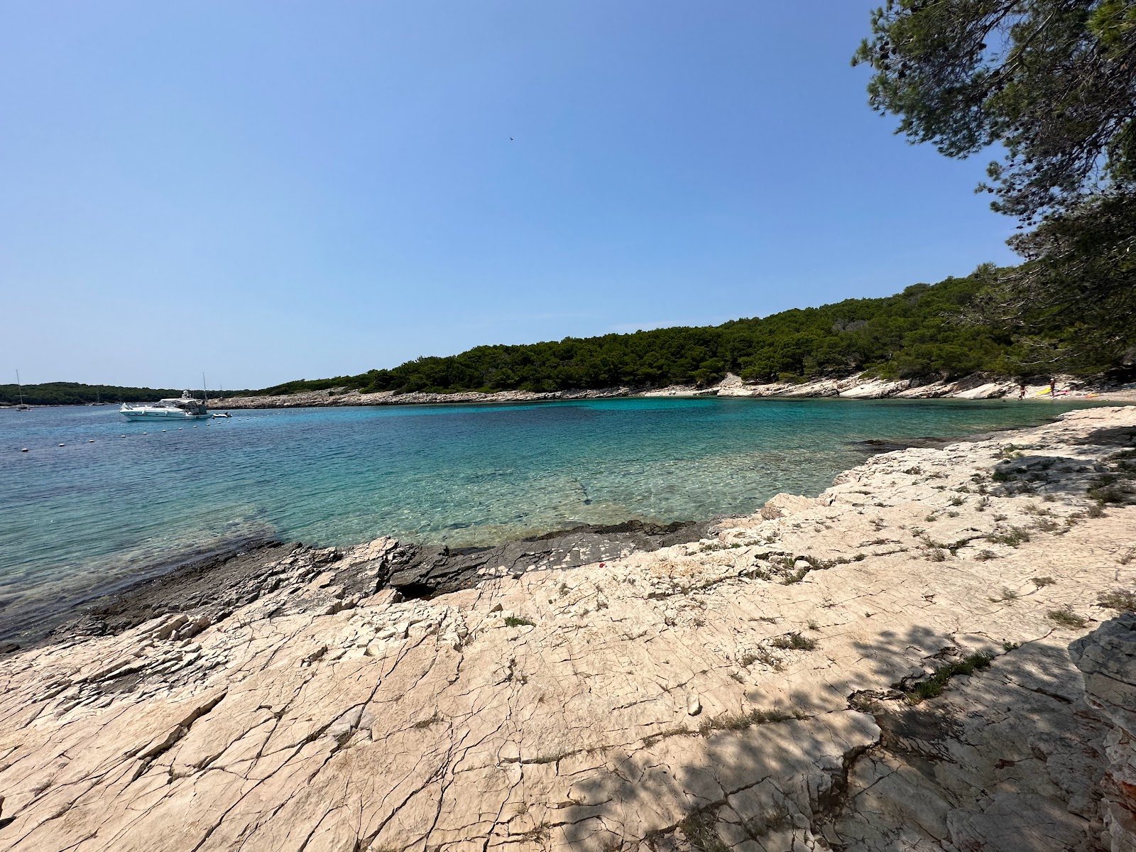 Photo de Uvala Drazevica zone sauvage