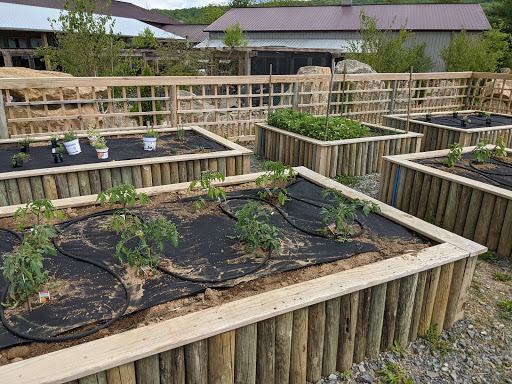 Winery «Alba Vineyard», reviews and photos, 269 Riegelsville Warren Glen Rd, Milford, NJ 08848, USA