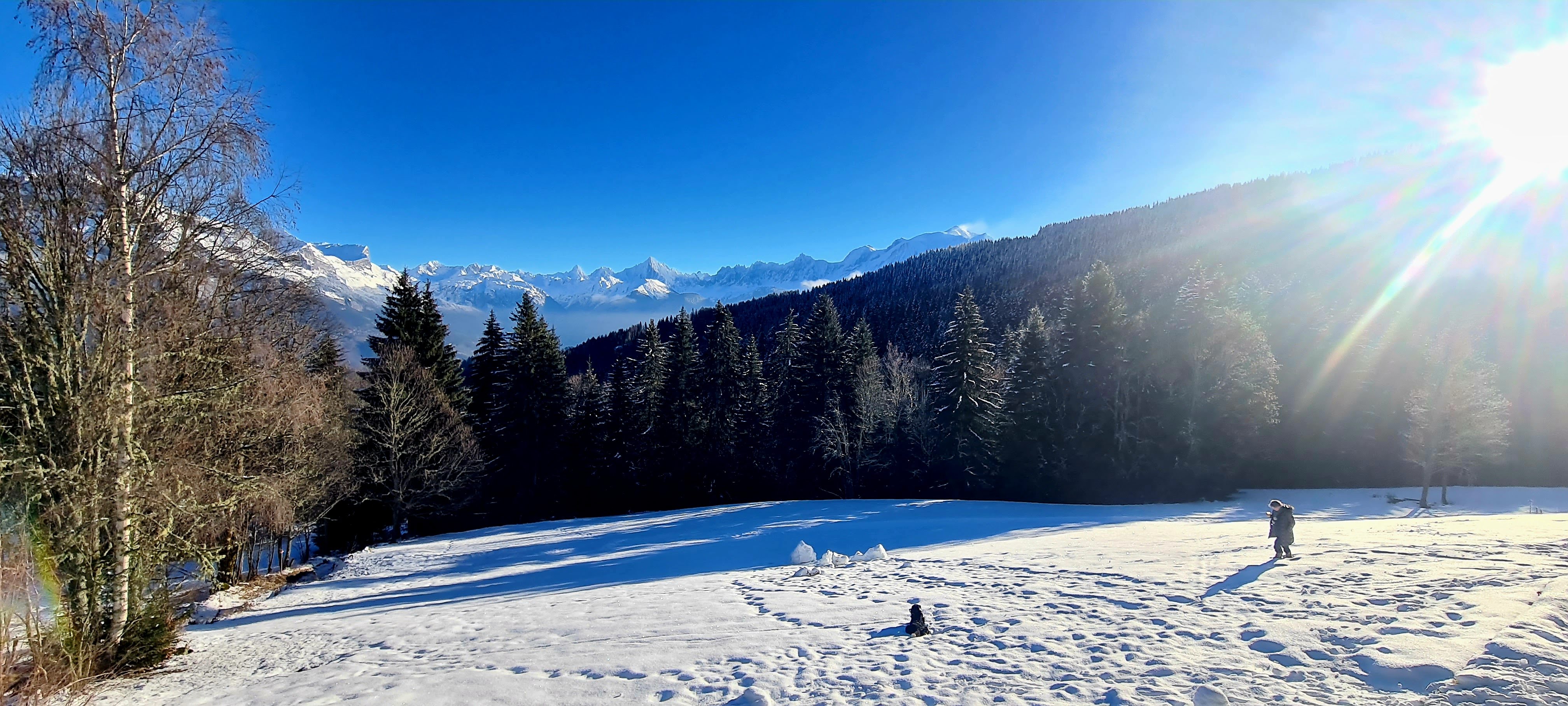 Photo n° 3 de l'avis de Frederic.A fait le 18/12/2023 à 12:38