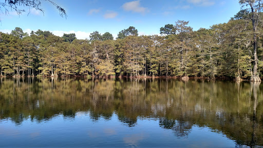 Park «Lake Houston Wilderness Park», reviews and photos, 25840 FM 1485, New Caney, TX 77357, USA