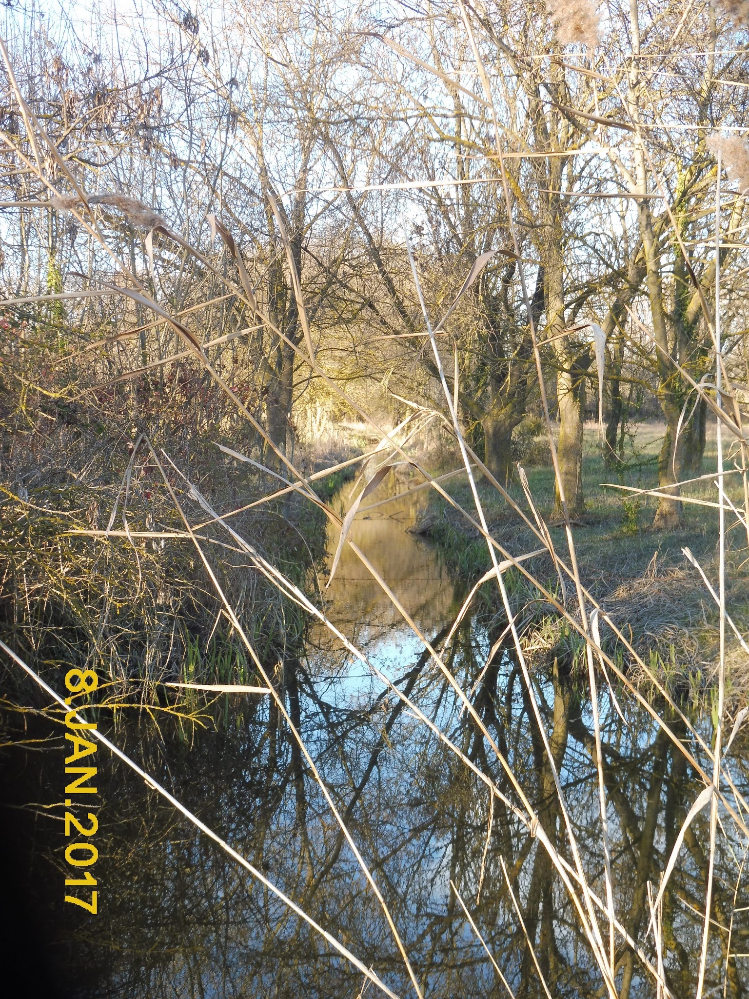 Photo n° 1 de l'avis de Nicole.O fait le 18/01/2017 à 16:43