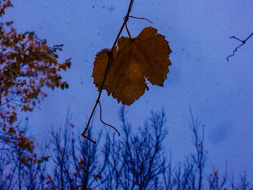 Municipality «Country Lakes Park», reviews and photos, 1835 N Aurora Rd, Naperville, IL 60563, USA