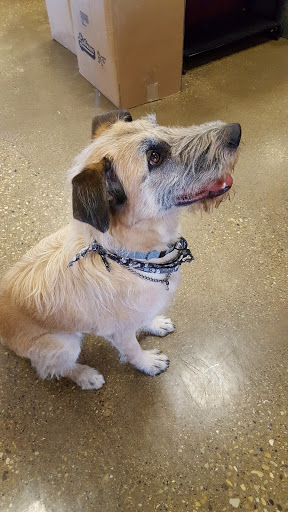 Motorcycle Shop «Top Gear Powersports», reviews and photos, 487 N Roselle Rd, Roselle, IL 60172, USA