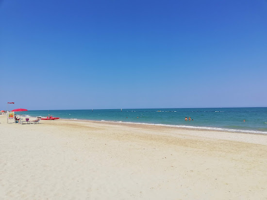 Dog Beach