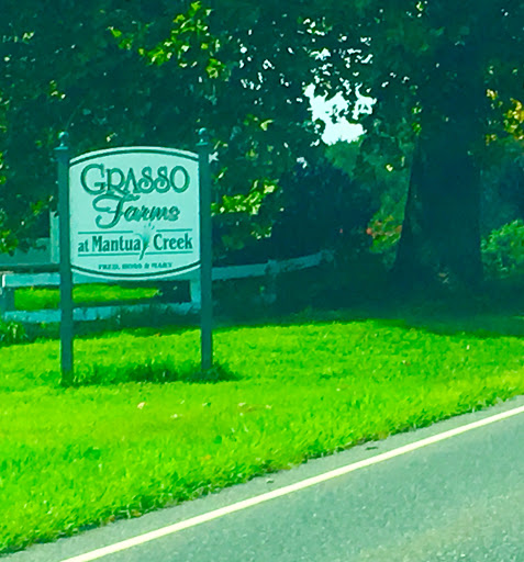Grocery Store «Grasso Girls Farm Market», reviews and photos, 353 Wolfert Station Rd, Mullica Hill, NJ 08062, USA