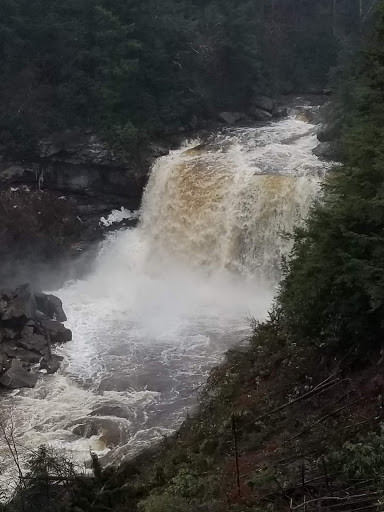 Countryside Animal Hospital image