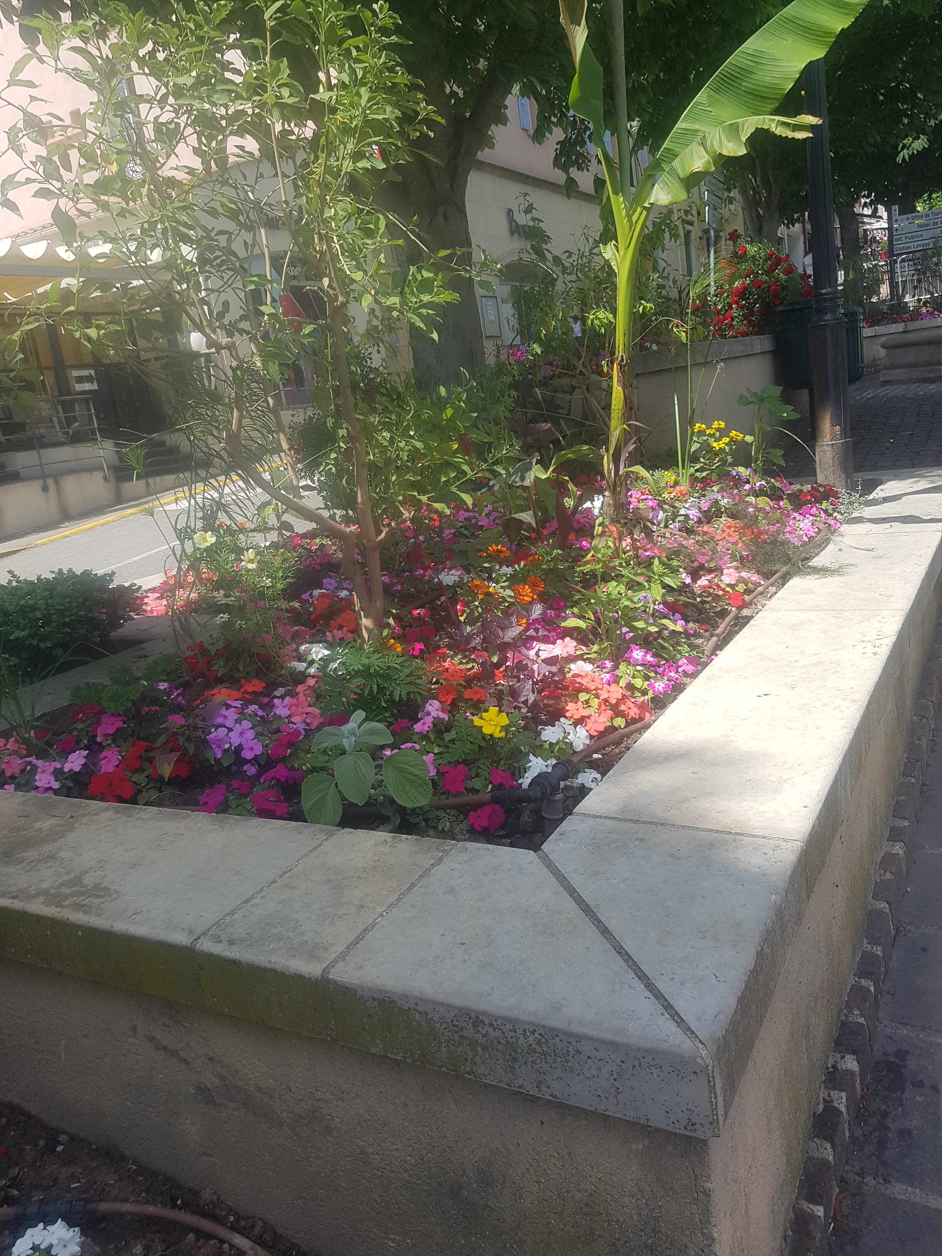 Photo n° 2 de l'avis de Danielle.a fait le 05/06/2018 à 15:10