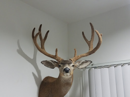 Sporting Goods Store «Mosquito Creek Outfitters», reviews and photos, 3000 Mosquito Rd, Placerville, CA 95667, USA