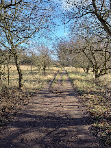Vogel- u. Tierpark e.V. unter Birkenheide, 