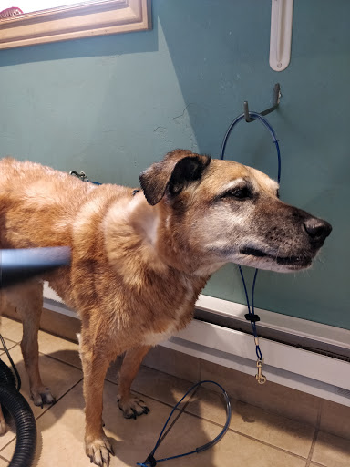 Pet Supply Store «Fresh Tracks Pet Shoppe», reviews and photos, 41199 US-6, Avon, CO 81620, USA