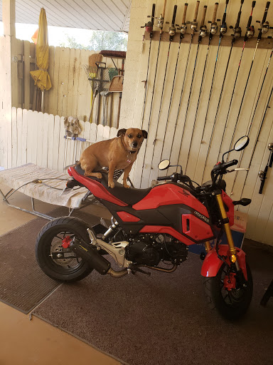 Honda Dealer «Western Honda Powersports», reviews and photos, 6717 E McDowell Rd, Scottsdale, AZ 85257, USA