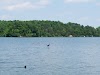 Cowan Lake State Park