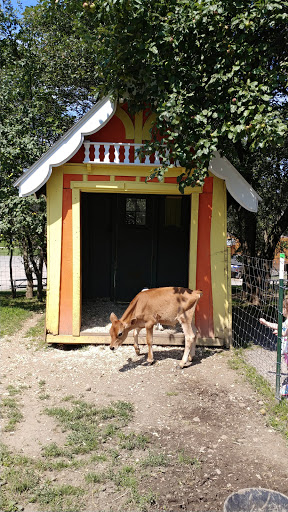 Restaurant «Hidden Valley Animal Adventure», reviews and photos, 2887 Royce Rd, Varysburg, NY 14167, USA