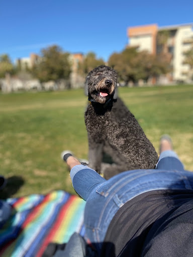 Park «Margaret T. Hance Park», reviews and photos, 67 W Culver St, Phoenix, AZ 85003, USA