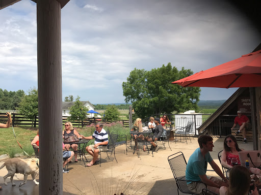 Winery «Blenheim Vineyards», reviews and photos, 31 Blenheim Farm, Charlottesville, VA 22902, USA