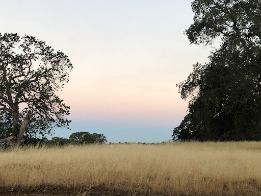 Wildlife Refuge «Folsom City Zoo Sanctuary», reviews and photos, 403 Stafford St, Folsom, CA 95630, USA