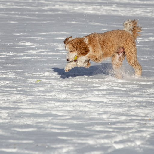 Park «Broadmoor Valley Park», reviews and photos, 3750 Broadmoor Valley Rd, Colorado Springs, CO 80906, USA