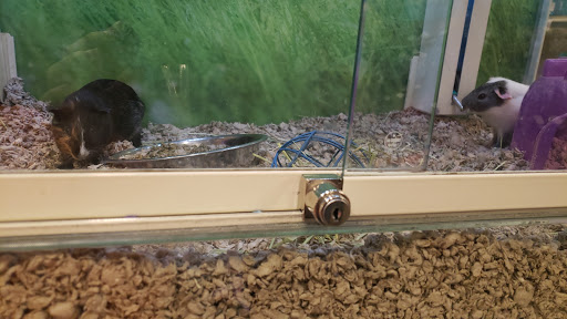 Pet Supply Store «PetSmart», reviews and photos, 15555 E 14th St, San Leandro, CA 94578, USA