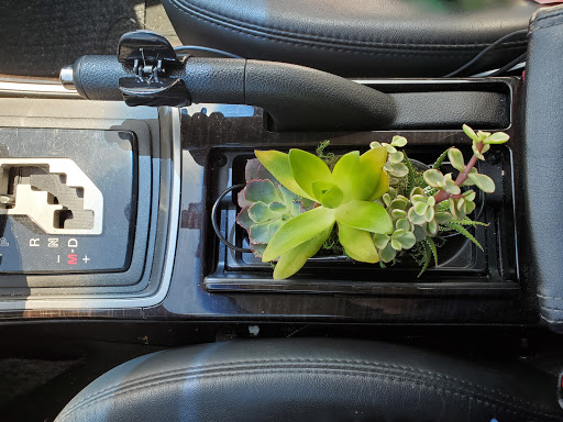 Supermarket «ALDI», reviews and photos, 901 17th St NE, Washington, DC 20002, USA