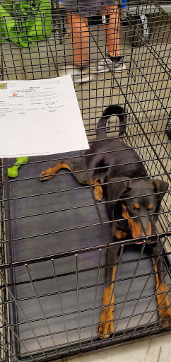 Pet Supply Store «PetSmart», reviews and photos, 10329 S State St, Sandy, UT 84070, USA