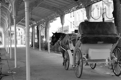 Les Calèches de la Rive à Vichy