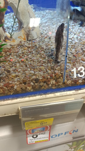 Pet Supply Store «PetSmart», reviews and photos, 139 Radio Dr, Stroudsburg, PA 18360, USA