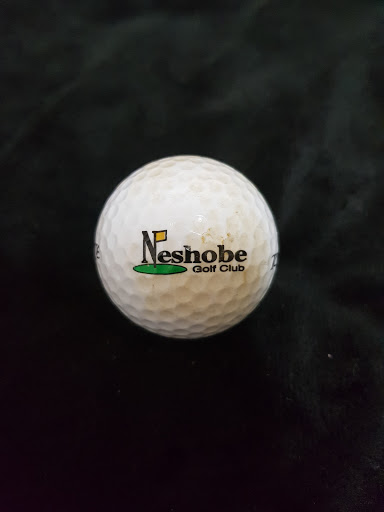 Golf Club «Neshobe Golf Club», reviews and photos, 224 Town Farm Rd, Brandon, VT 05733, USA