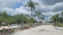 Landscape Depot - Photo 9 - Car repair in Palm Bay, FL, Palm Bay