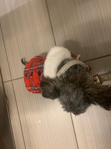 Pet Supply Store «Pet Food Express», reviews and photos, 3160 20th Ave, San Francisco, CA 94132, USA