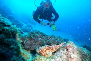 Pelagos Diving Center image