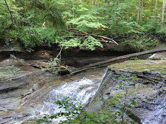 Chair Factory Falls - Greenway Corridor