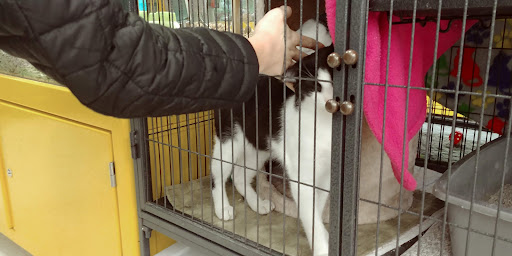 Pet Supply Store «Pet Supplies Plus», reviews and photos, 5708 State St, Saginaw, MI 48603, USA