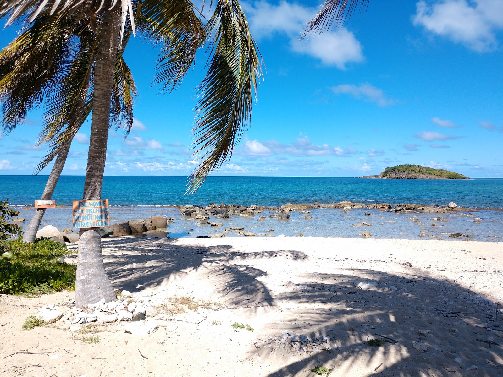 Grapetree beach photo #7