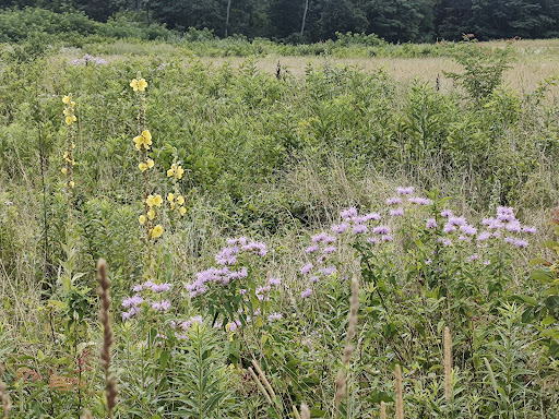 Battle Site «Third Battle of Winchester Battlefield Park», reviews and photos, 541 Redbud Rd, Winchester, VA 22603, USA