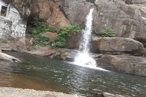 Shenbaga Devi Waterfalls image