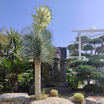 Photo n°4 de l'avis de Nicola.o fait le 12/07/2023 à 14:01 sur le  Terra Promessa à Acquaviva delle Fonti