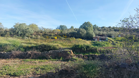 Ayuntamiento de Pozuelo de Zarzón Pl. de España, 1, 10813 Pozuelo de Zarzón, Cáceres, España