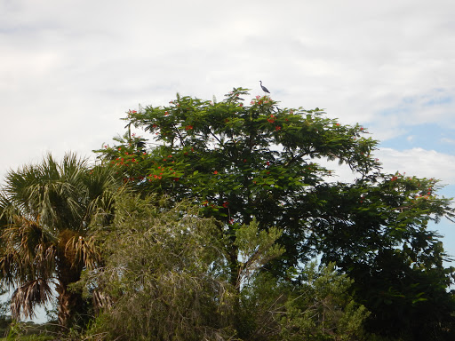 Canoe & Kayak Rental Service «Sea Sup Go Paddle & Surf Company», reviews and photos, 40 Royal Palm Pointe, Vero Beach, FL 32960, USA