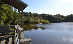 Moccasin Lake Nature Park