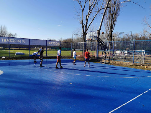 Basketball Court