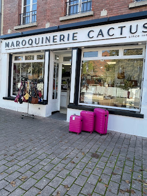Maroquinerie Cactus à Vitry-le-François