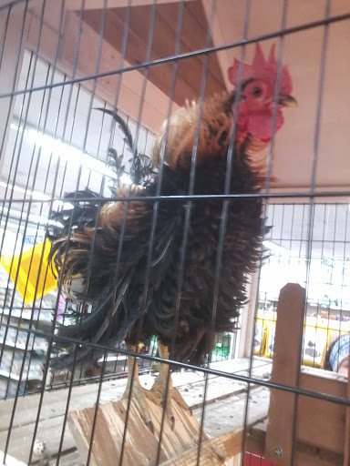 Department Store «Rural King», reviews and photos, 2960 E 10th St, Jeffersonville, IN 47130, USA